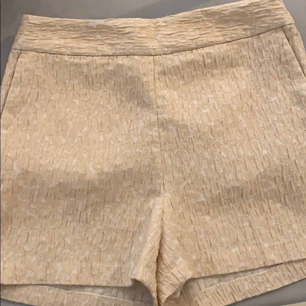 Express shorts - Picture 2 of 6